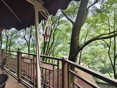 -巴倒烫陆派重庆火锅(南山店)