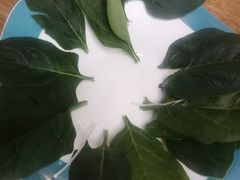 -青瓷火锅料理(西单大悦城店)