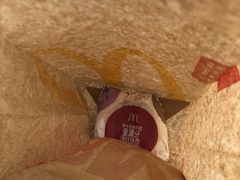 -麦当劳(虹梅路地铁站店)