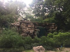 -静安公园(静安寺街道)
