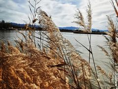 -野鸭湖国家湿地公园