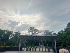 -洋湖国家湿地公园