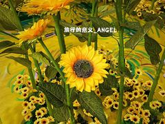 -天津梵高星空艺术馆(天河城旗舰店)