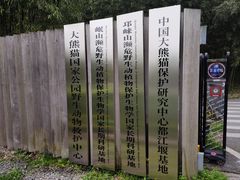 -都江堰中华大熊猫苑