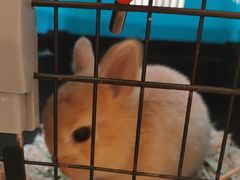 -龙猫仔乐园(惠福东路店)