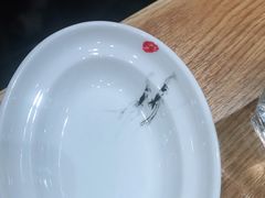 -喜家德虾仁水饺(南山书城店)