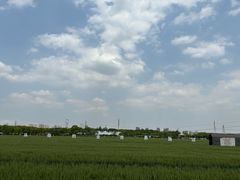 -嘉北郊野公园