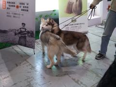 -东浩兰生上海世博展览馆