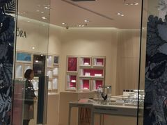 -Pandora潘多拉珠宝(虹口龙之梦店)