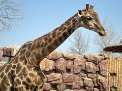 -济南野生动物世界