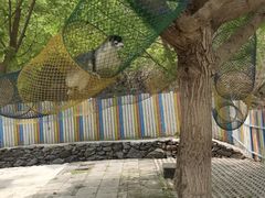 -西部长青自然儿童乐园