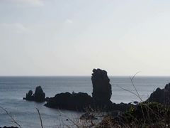 -涉地可支