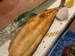烤青花鱼-九州酒场ひこぞう(1号店)