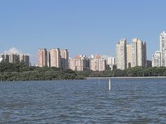 -白鹭洲公园