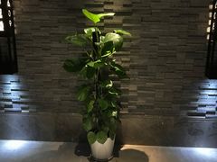 -古越堂影院式足道(九堡店)