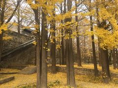 -阳台山自然风景区