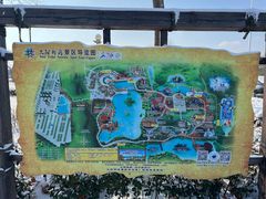 -太阳部落