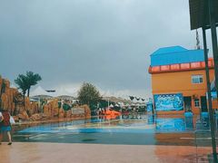 -海盗传奇水世界