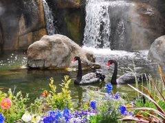 -罗红摄影艺术馆