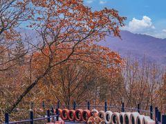 -光雾山旅游景区