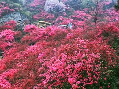 -木兰云雾山