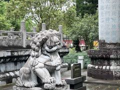 -江西龙虎山景区