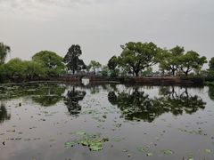 -无锡蠡湖国家湿地公园-蠡园