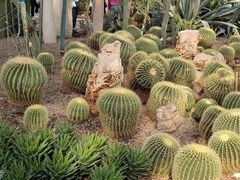 -北京植物园-展览温室