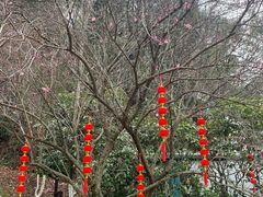 -常德桃花源景区