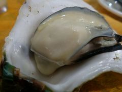 -蚝专家(北滘店)