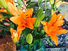 -蜗牛小馆醉乡民谣云南菜(惠新西里店)