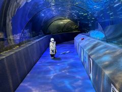 -太平洋海底世界