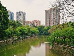 -晓港公园