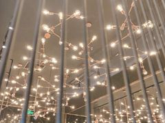 -馔豚·台北菜专门店(深圳湾万象城店)