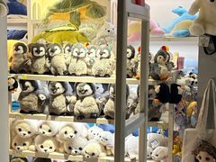-泉城欧乐堡海洋极地世界