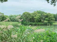 -西溪国家湿地公园