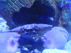 -石家庄海洋公园