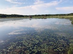 -塞罕坝国家级自然保护区