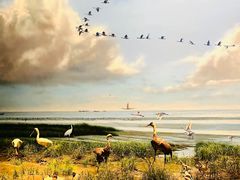 -中国湿地博物馆