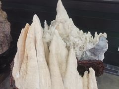 -游龙石文化科普馆