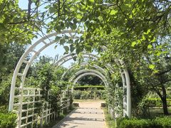 -国家植物园南园