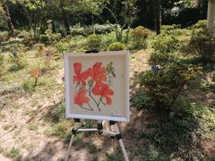 -南山风景名胜区