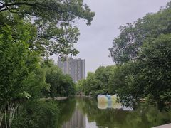 -沙市市中山公园