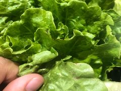 -九田家黑牛烤肉料理(太阳城店)