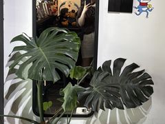 -TODAY(环城东路店)