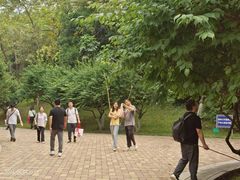 -玉树公园