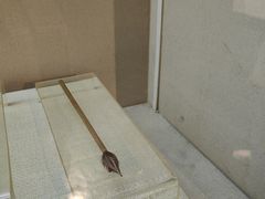 -中国湖笔博物馆(莲花庄路)