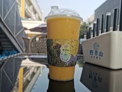 -野萃山·潮汕厚果汁(十亩地店)