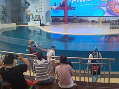 -三亚海昌梦幻海洋不夜城