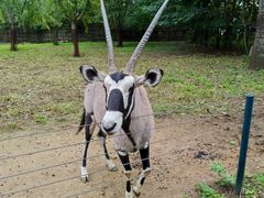 -大连森林动物园